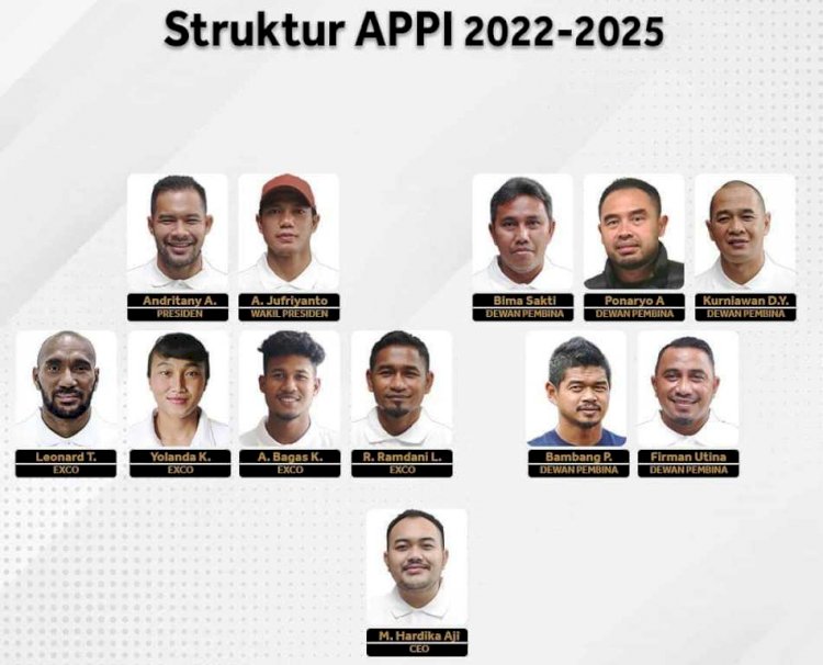 Struktur pengurus APPI 2022-2025. (Instagram/mhardikaji/rmolsumsel.id)