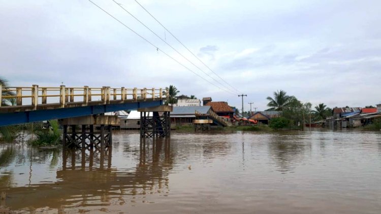 Kondisi jembatan penghubung Desa Karang Rejo dan Desa Karang Makmur di Kecamatan Lalan yang ambruk pada Kamis (6/1). (Ist/rmolsumsel.id)