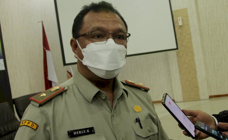 Kepala BPPD Palembang, Herly Kurniawan. (Istimewa/rmolsumsel.id)