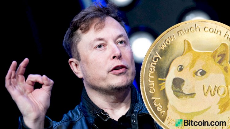 Miliarder Elon Musk. (Istimewa/net)