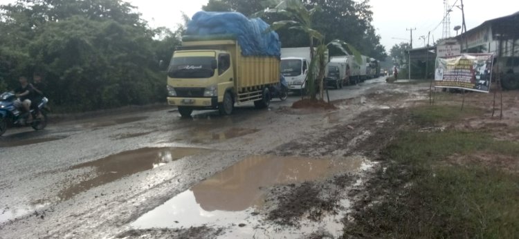 Warga di Mangun Jaya, Kabupaten Muba menanam pohon pisang di titik jalan yang rusak sebagai protes perbaikan yang lambat dan tidak pernah tuntas. (Ist/rmolsumsel.id)