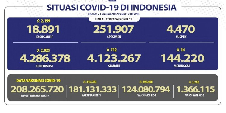 ilustrasi data Covid-19 (ist/rmolsumsel.id)