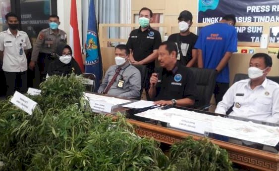 Jajaran BNN Provinsi Sumsel saat menggelar konferensi pers ungkap kasus penemuan ladang ganja. (ist/rmolsumsel.id)