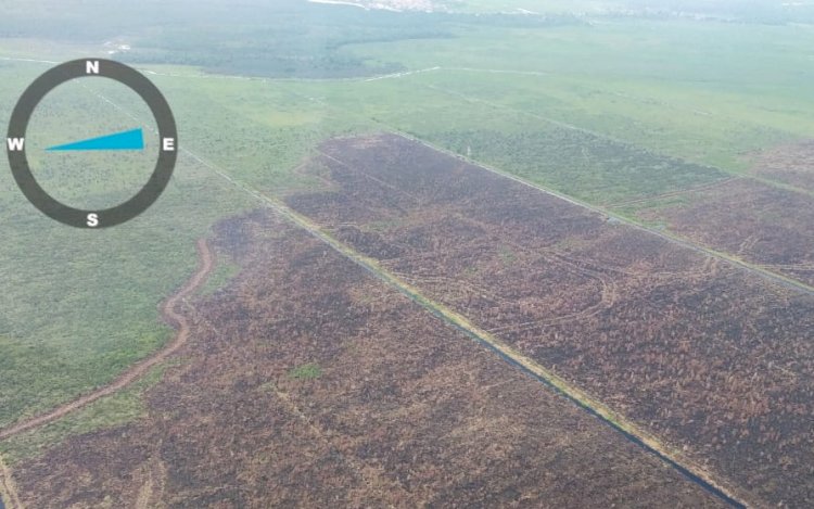 Areal konsesi PT Rambang Agro Jaya yang terbakar di bulan September 2021. (ist/rmolsumsel.id)