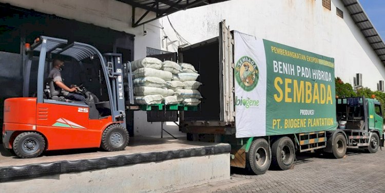 Pengiriman 10 ton benih padi Sembada 188 dari PT. Biogene Plantation ke Brunei Darussalam. (KBRI Brunei Darussalam/rmolsumsel.id)