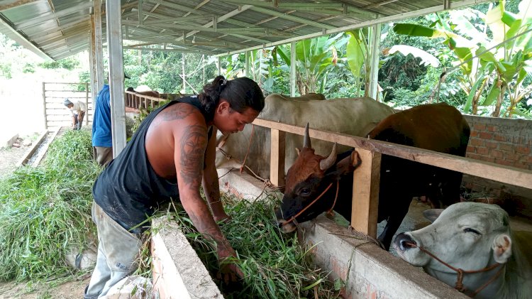 Sekelompok mantan anak punk yang menamakan diri Ngambleh Soleh sukses berkebun dan beternak. (Noviansyah/Rmolsumsel.id). 