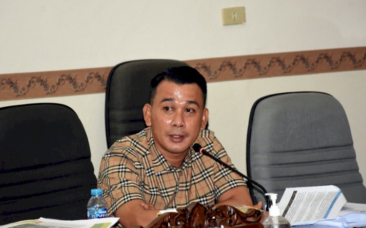 Anggota Komisi IV DPRD Sumsel dari Partai Nasdem, Nopianto. (rmolsumsel)