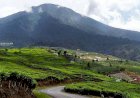 Delapan Bulan Status Waspada, Gunung Dempo Semburkan Abu Vulkanik
