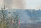Lahan Kosong Areal PKOR Way Halim Terbakar