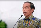 Pekan Depan, Jokowi Larang Ekspor CPO dan Minyak Goreng