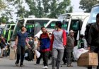 BSB dan Pemprov Sumsel Gelar Mudik Gratis, Prioritas untuk Nasabah