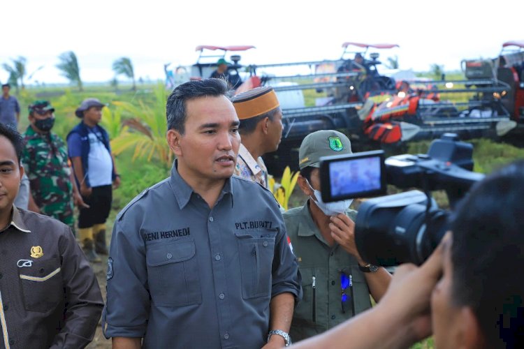 Plt Bupati Muba Beni Hernedi bersama Forkpimda melakukan panen raya di Desa Perumpung Raya Kecamatan Lalan. (Ist/Rmolsumsel.id). 