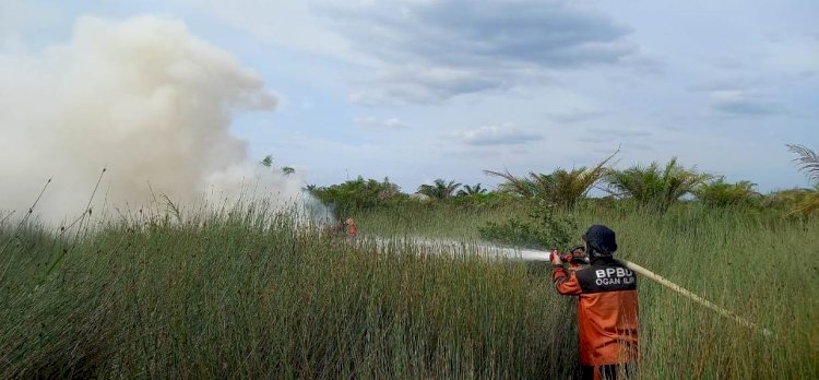 Petugas BPBD mencoba memadamkan api di lahan gambut Kabupaten Ogan Ilir/Foto:Dokumen RMOL