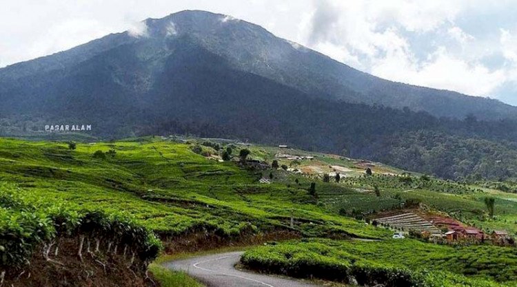 Gunung Dempo kota Pagar Alam. (Handout)