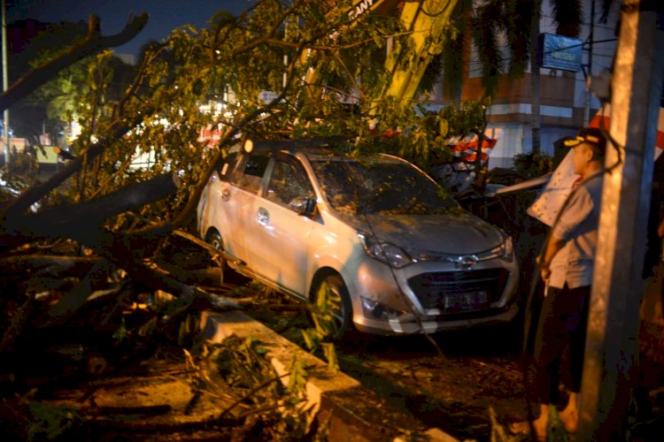 Sekda Palembang Ratu Dewa mendatangi mobil yang tertimpa pohon tumbang di Jalan Merdeka, Rabu petang (6/4). (Humaidy Kenedy/rmolsumsel.id)