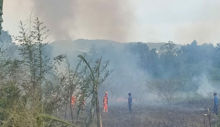 kebakaran lakan PKOR Way Halim/ist