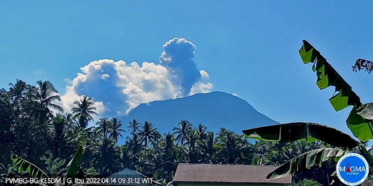 Gunung Ibu di Halmahera mengalami erupsi. (Istimewa/net)