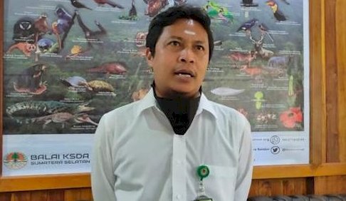 Kepala Balai Konservasi dan Sumber Daya Alam Sumsel Ujang Wisnu Barata (ist/rmolsumsel.id)