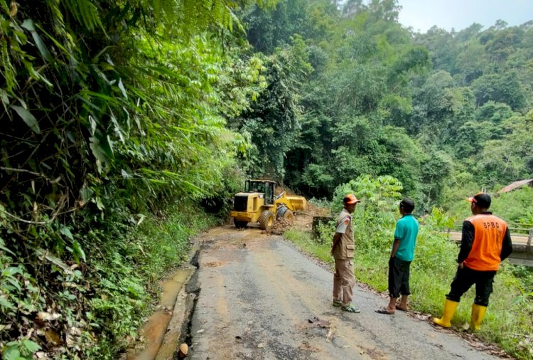 Alat berat Dinas PUPR Kabupaten Muara Enim menyingkirkan material longsor yang menimbun ruas jalan Pulau Panggung - Segamit, Minggu (17/4). penghubung (Noviansyah/rmolsumsel.id)