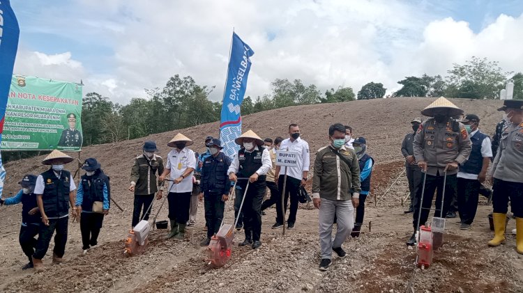 Penanaman jagung perdana di lahan seluas 5 hektar di Kabupaten Muara Enim sebagai dukungan program ketahanan pangan. (Noviansyah/Rmolsumsel.id). 