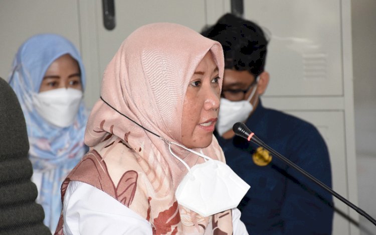 Inspektur Tambang Dirjen Minerba Kementerian ESDM, Hijrawaty saat hadir dalam RDP Komisi IV  DPRD Sumsel. (rmolsumsel)