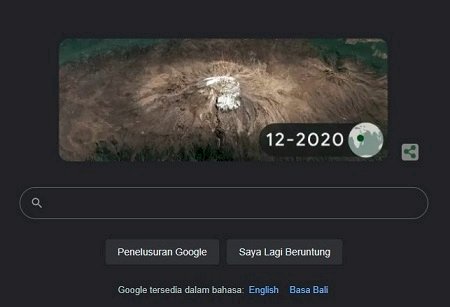 google doodle hari bumi