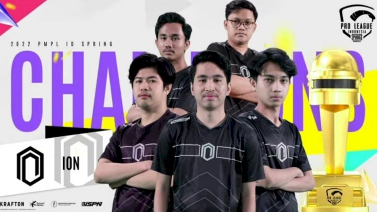 Tim ION Esports/repro