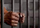 Tiga Kurir 100 Kg Ganja Divonis 17 Tahun Penjara Pengadilan Negeri Sekayu