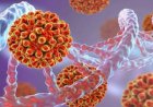 CDC: Vaksin Covid-19 Bukan Penyebab Hepatitis Misterius Anak