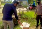 Mayat Bayi Perempuan Dalam Kardus Ditemukan di Palembang