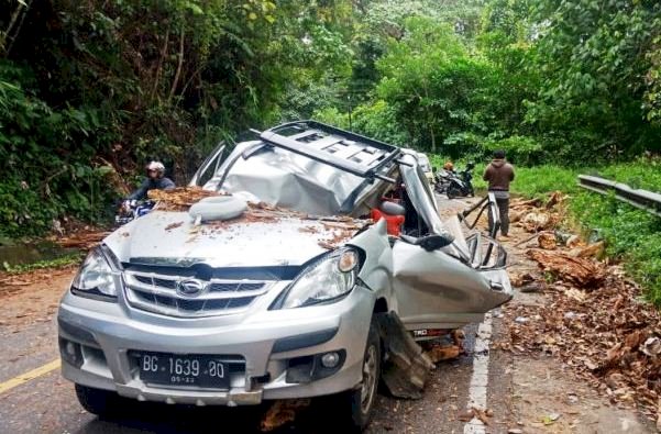 Kondisi mobil warga Pendopo Sumsel yang tertimpa pohon lapuk di Liku Sembilan, Bengkulu Tengah, Sabtu siang (7/5). (Ist/rmolsumsel.id)