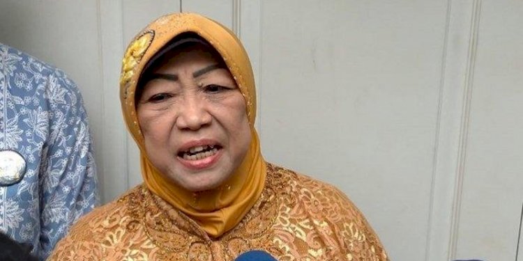 Mantan anggota DPR RI periode 2009-2014 dari PKB, Lily Wahid (Istimewa/net)