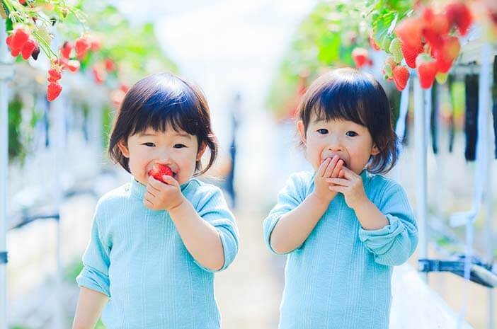 Anak kembar. (Halodoc/rmolsumsel.id)