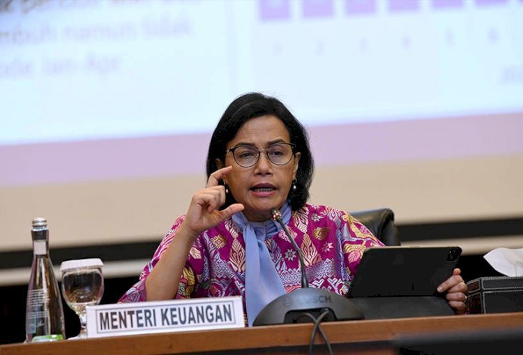 Menteri Keuangan, Sri Mulyani. (Istimewa/rmolsumsel.id)