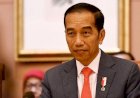 Jokowi Ajak HIPMI Masuk Sektor Usaha Pangan