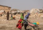 Somalia Diambang Bencana Kelaparan, PBB Bakal Berikan 900 Juta Dolar AS