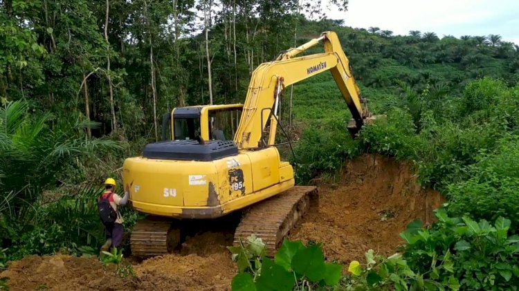 Ilustrasi pembukaan lahan dengan alat berat excavator. (Istimewa/net)
