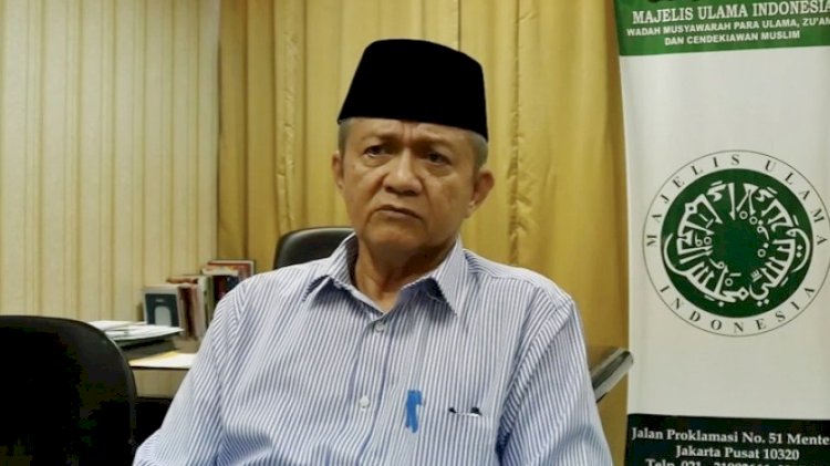 Wakil Ketua MUI, Anwar Abbas/ist