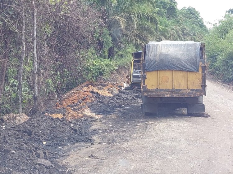 Batubara yang berserakan di pinggir jalan Kabupaten Muratara menciptakan masalah baru yakni terbakarnya semak dan hutan yang dilalui truk angkutan tersebut. (ist/rmolsumsel.id)