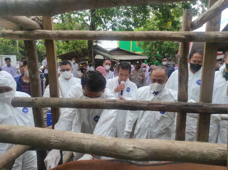 Pj Bupati Muba Apriyadi bersama Forkopimda Muba menuju pelaksanaan suntik vaksin PMK di Sekayu. (Amarullah Diansyah/Rmolsumsel.id). 
