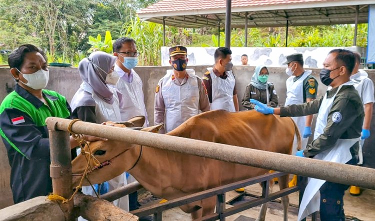 Vaksinasi PMK di Kabupaten PALI/ist