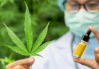 Legalisasi Ganja untuk Medis Dapat Dukungan dari PCNU Pangandaran