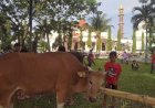 Masjid Agung Palembang Tiadakan Pembagian Kupon Kurban, Ini Alasannya