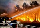 Kebakaran Hutan yang Dipicu Gelombang Panas di Eropa Barat, Akibatkan Ratusan Orang Tewas