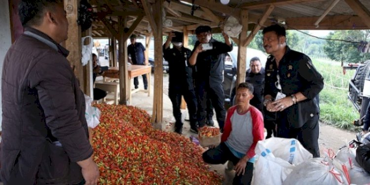 Mentan Syahrul Yasin Limpo saat meninjau harga cabai di Sumedang. (ist/rmolsumsel.id)