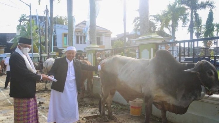 Wagub Sumsel Mawardi Yahya saat menyerahkan seekor sapi di Masjid Baiturrahman. (ist/rmolsumsel.id)