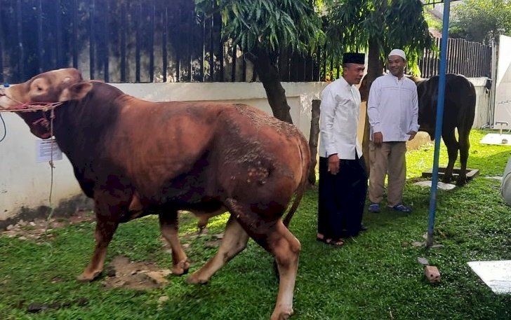 Penyerahan sapi kurban dari Polda Sumsel. (ist/rmolsumsel.id)