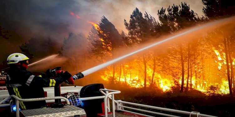 Kebakaran hutan yang dipicu gelombang panas melanda beberapa negara di Eropa Barat selama beberapa pekan terakhir/Net