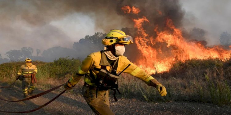 Gelombang panas di Eropa memicu kebakaran hutan dan lahan/Net