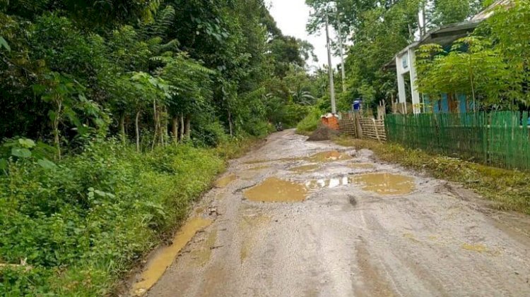 Jalan Rusak di Kabupaten Empat Lawang makin memprihatinkan/ist